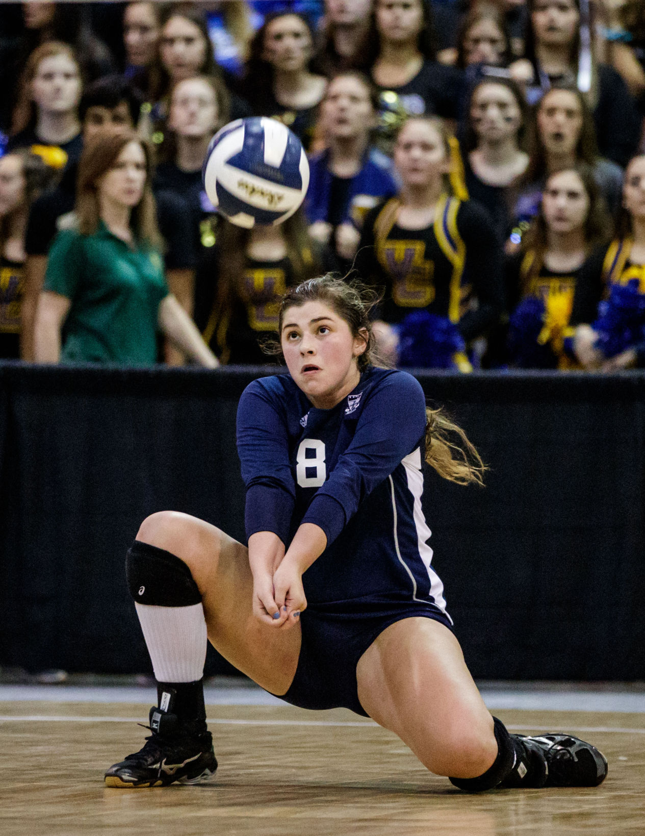 br.divisionIIIvolleyball.111117.006.JPG